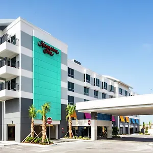 Hampton Dunedin, Fl USA