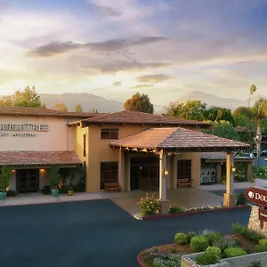 Hotel Doubletree By Hilton